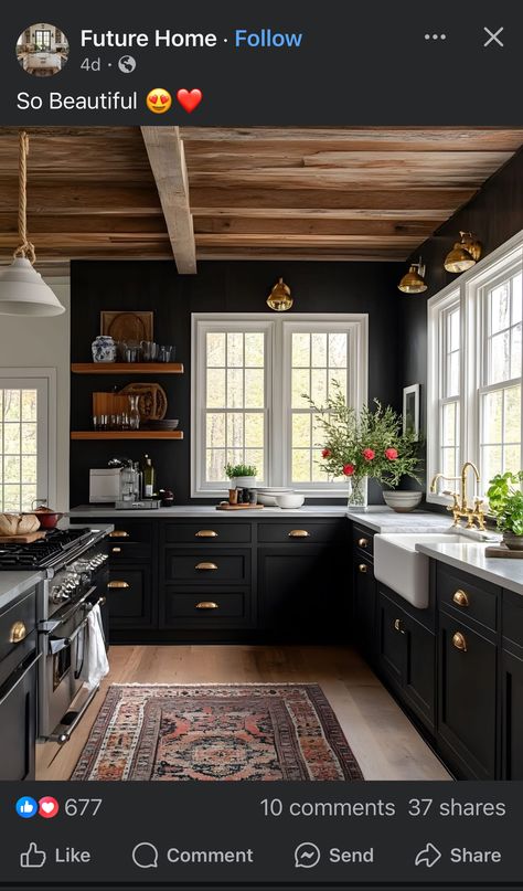 Farm Style Bathrooms, Quartz Counter, Farm Style, Black Cabinets, Bathroom Art, House And Home, Bathroom Styling, Kitchen Remodel, Black