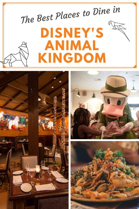 Animal Kingdom has some of the best food in Disney World. Celebrate a variety of global cultures with restaurants that serve delicious ethnic dishes.. #disney #animalkingdom #disneyfood Best Food At Disney World, Food At Disney World, Animal Kingdom Restaurants, Animal Kingdom Food, Best Disney Restaurants, Disney Travel Agents, Animal Kingdom Lodge, Disney World Vacation Planning, Disney World Restaurants