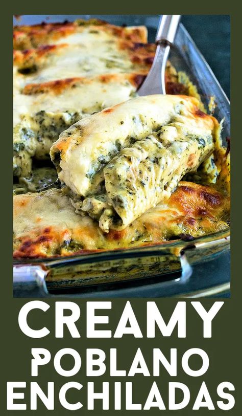 Tortillas are stuffed with shredded chicken, covered in a creamy poblano sauce and cheese, and baked until creamy perfection #recipe #enchiladas #poblano #creamy #cincodemayo Enchiladas Low Carb, Poblano Chicken Enchiladas, Poblano Pepper Recipes, Poblano Enchiladas, Poblano Recipes, Gorditas Recipe, Poblano Chicken, Poblano Peppers Recipes, Poblano Sauce