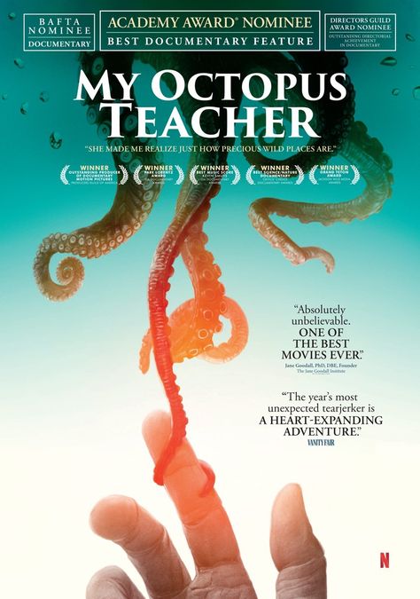 My Octopus Teacher, Teacher Poster, Credit Quotes, Respect Life, Netflix Streaming, Her World, Upcoming Movies, Parenting Guide, Documentary Film