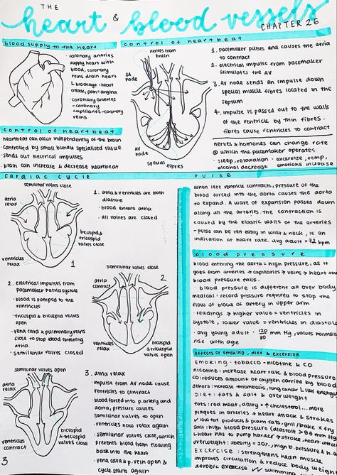 Biochemistry Notes, Nursing School Essential, Medicine Notes, Nursing School Motivation, Medical School Life, Nurse Study Notes, Basic Anatomy And Physiology, Gcse Science, Medical Student Study