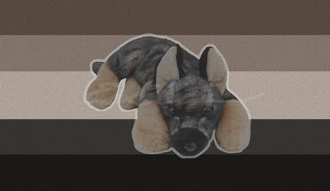 Plush Xenogender, Xenogender Dog, Puppy Xenogender, Pup Gender, Dog Gender, Xeno Genders, Xeno Hoard, Xenogender Hoard, Gender Pronouns