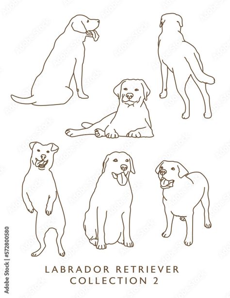 Download Labrador Retriever Outline Illustrations in Various Poses 2 Stock Vector and explore similar vectors at Adobe Stock. Dog Drawing Labrador, Labrador Outline, Labrador Retriever Drawing, Dog Garland, Labrador Tattoo, Labrador Illustration, Ball Illustration, Dog Line Drawing, Dog Outline