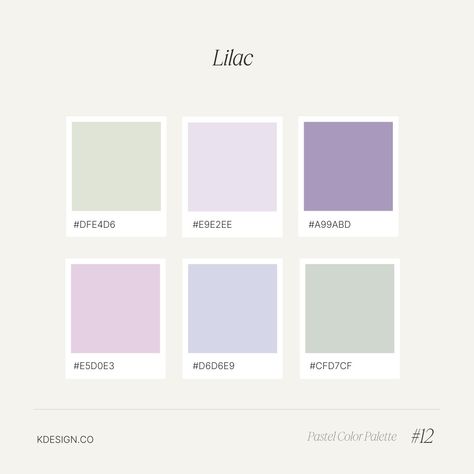 Pastel Lilac Color Palette, Lilac Green Color Palette, Lilac Color Palette, Pastel Palettes, Palette Organizer, Pastel Blue Color, Custom Brand Design, Pastel Color Palette, Orange Color Palettes