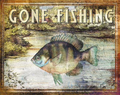 Fishing Painting, Fish Sign, Rustic Lake Houses, Side Photo, The Lake House, Salt Water Fishing, Fishing Signs, Salmon Fishing, Lake Fishing