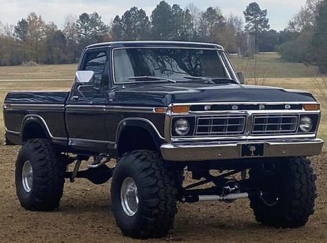 Painting Car Interior, Gojo Hand, Snap Car, Cars Painting, Car Snap, Car Interior Storage, 1979 Ford Truck, Big Ford Trucks, Country Trucks