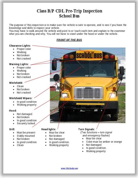 School Bus Driving, Bus Information, School Bus Safety, Bus Engine, Bus Safety, Yellow School Bus, School Bus Conversion, Bus Life, Vehicle Inspection