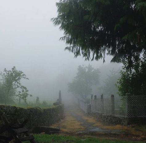 Rainy Cottage, Misty Day Aesthetic, Foggy Scenery, Cabin 20 Hecate, Halloween Prompts, Treehouse In The Woods, 2000s Autumn, Swamp Forest, Foggy Weather