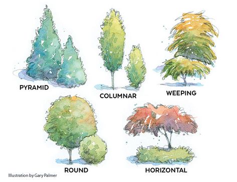 The best plants for a foundation planting: The best-looking foundation planting starts with the right plants. Use our design guide whether you’re starting from scratch or redesigning your foundation. Foundation Garden, Foundation Plants, Flowering Crabapple, Landscape Design Drawings, House Foundation, Zone 9, Planting Plan, Foundation Planting, Best Plants