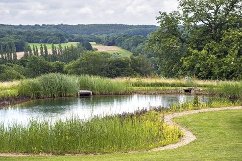 Big Pond Landscaping, Farm Pond Landscaping Ideas, Natural Pond Landscaping, Pond Bridge, Pond Landscape, Swimming Ponds, Growing Organic Vegetables, Farm Pond, Kempinski Hotel