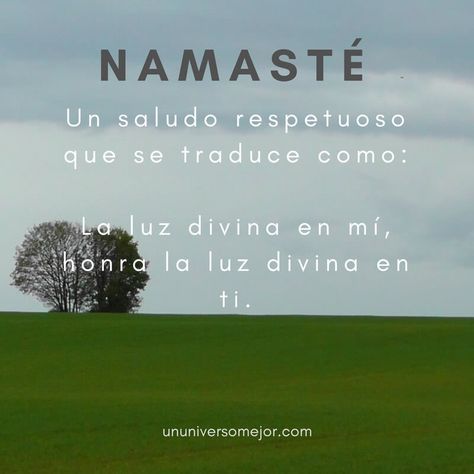 Namasté: ¿Conoces su profundo significado? - Un Universo Mejor Yoga Frases, Frases Yoga, Yoga Symbols, Yoga Mantras, Yoga Times, Spiritual Messages, Yoga Asanas, Spirituality Energy, Spiritual Life