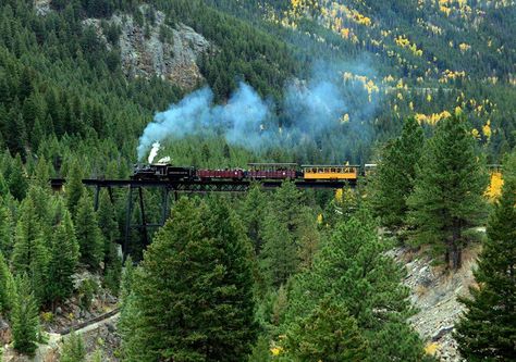 Train Rides In Colorado, Colorado Train, Scenic Train Rides, Colorado Adventures, Colorado Vacation, Train Ride, Colorado Usa, Colorado Travel, Usa Travel Destinations