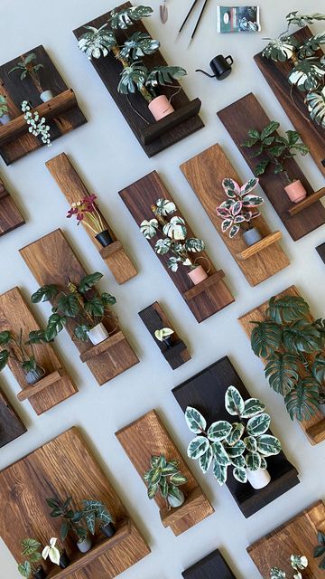 Ideas Con Madera, Living Room Plants Decor, Exhibition Ideas, Drawing Room Decor, نباتات منزلية, Colored Clay, Composting At Home, Driftwood Wall Art, Diy Display