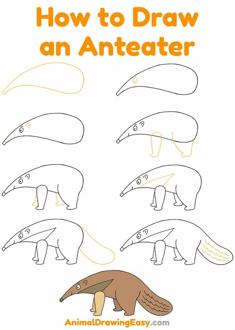 How to Draw an Anteater Step by Step #Anteater #Drawing #Drawings #AnimalDrawings #HowtoDrawAnimals #HowtoDrawanAnteater #EasyDrawings #Stepby Anteater Craft, How To Draw Capybara, Anteater Drawing, Reference Animals, Giant Anteater, Christmas Cake Designs, Animal Illustrations, Illustration Ideas, Homeschool Ideas