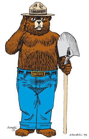 Ranger Rick, American Black Bear, Smokey The Bear, Smokey Bear, Smokey The Bears, Bear Mountain, Bear Tattoo, Hiking Backpacking, Bear Party