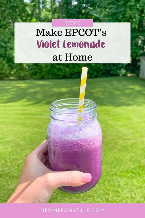 Bring a taste of Disney magic home with this refreshing Violet Lemonade recipe from Epcot's Flower and Garden Festival! 🍋💜 Perfect for a hot day or to relive your favorite park memories, this vibrant drink is easy to make and Instagram-worthy. #DisneyAtHome #VioletLemonade #FlowerAndGardenFestival Cocktails Using Vodka, Disney World Height Requirements, Violet Lemonade, Fairytale Disney, Floral Topiaries, Movie Night Dinner, Lemonade Concentrate, Magic Home, Frozen Lemonade