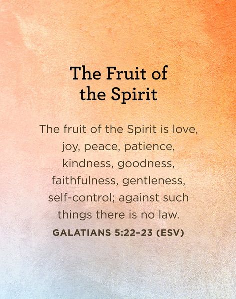 Purchase the study guide for the 'Fruit of the Spirit' series for only $2 or download the free digital study guide at tfl.org/fruit. #TruthForLife #FruitoftheSpirit Fruit Spirit, Christian Pics, The Fruits Of The Spirit, Baby Gender Reveal Party Decorations, Fruits Of The Spirit, The Fruit Of The Spirit, Charles Stanley, Bible Study Methods, Study Methods