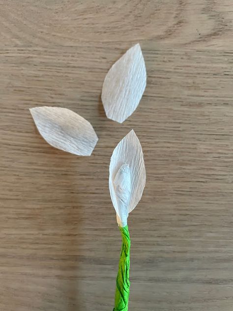 Diy Frühling, Snow Drops, Drops Patterns, Winter 2022, Kindergarten, Tags, Plants, Pattern, Pins