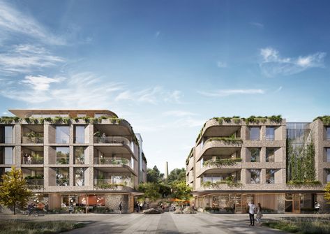 Eliza House by WALA - Project Feature - The Local Project Dubai Islands, Social Housing Architecture, Mix Use Building, Sydney City, The Local Project, Social Housing, Mixed Use, Australian Homes, Inner City