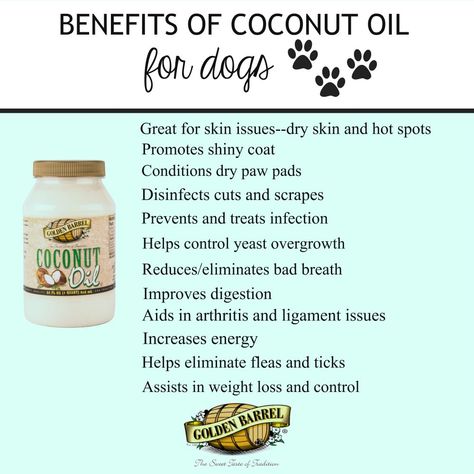 Coconut Oil Dog Treats, Health Coconut Oil, Benefits Of Coconut, Coconut Oil For Dogs, Coconut Peanut Butter, Oils For Dogs, Benefits Of Coconut Oil, Healthy Benefits, Dog Recipes