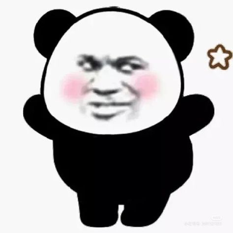 Chinese Reaction Images, Wechat Sticker, Silly Panda, Panda Emoji, Chinese Meme, Family Guy Funny, Family Guy Funny Moments, Chinese Panda, Inspirational Horse Quotes