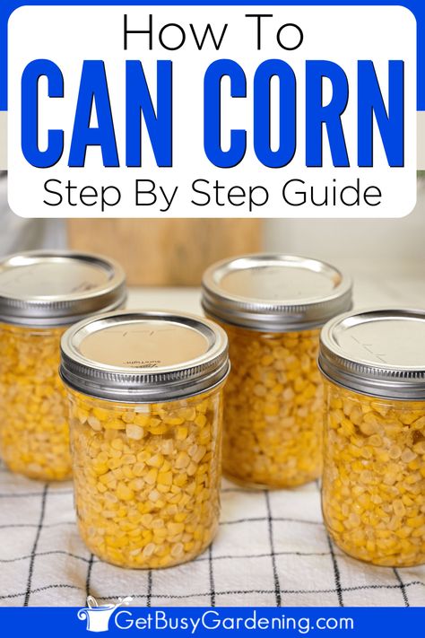 If you have an overabundance of corn from your vegetable garden, or find a great deal at the grocery store or farmer’s market, canning corn is one of the best ways to preserve corn before it goes bad. Learn the best types of corn to can and how to keep it from turning brown. Learn how to can corn by raw packing or by hot packing method. Learn why you need to use a pressure canner to can corn, how to store canned corn, tips, FAQs, and so much more. How To Can Corn, Tomato Salsa Canning, Electric Pressure Canner, Canned Corn Recipes, Canning Corn, Can Corn, Canning Kitchen, Canning Sweet Corn, Pressure Canner