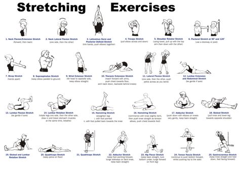 Keep Your ACTS Together with Wellness Week – Creating Community – UW–Madison Dynamic Stretching Exercises, Static Stretches, Static Stretching, Dynamic Stretching, Tight Hip Flexors, Fitness Blender, Psoas Muscle, Ripped Abs, Workout Posters