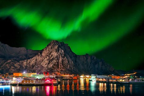 Northern Lights Cruise, Winter Cruise, Norway Winter, Northern Lights Norway, The Aurora Borealis, Northern Light, Cruise Excursions, See The Northern Lights, Norwegian Cruise