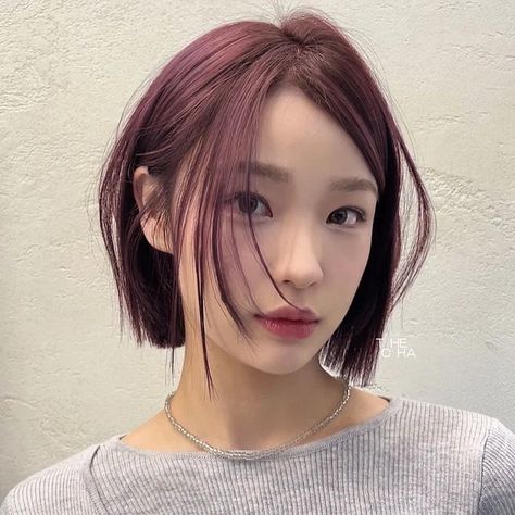 Asian Short Hairstyles, Week Hairstyles, Short Burgundy Hair, Short Dyed Hair, Denim Hair, Korean Hairstyles, Best Hairstyles For Women, Thick Hair Cuts, Real Estate Investment Trust