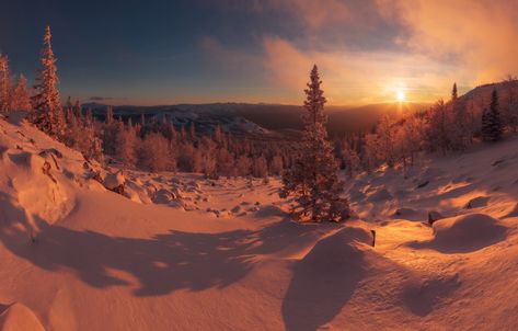 Wallpaper winter, forest, the sky, the sun, snow, hills images for desktop, section пейзажи - download Asteroid City, Hd Wallpapers For Laptop, Wallpaper Winter, Winter Nature, Winter Wallpaper, Winter Forest, Computer Wallpaper, Laptop Wallpaper, New Wallpaper