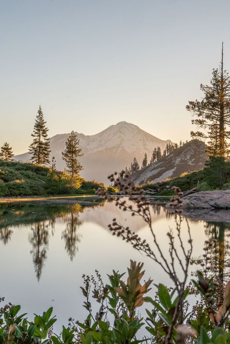 Mount Shasta California, Shasta California, Jessie Reyez, California Travel Guide, Mt Shasta, Mount Shasta, California Destinations, California Summer, Looking Out The Window