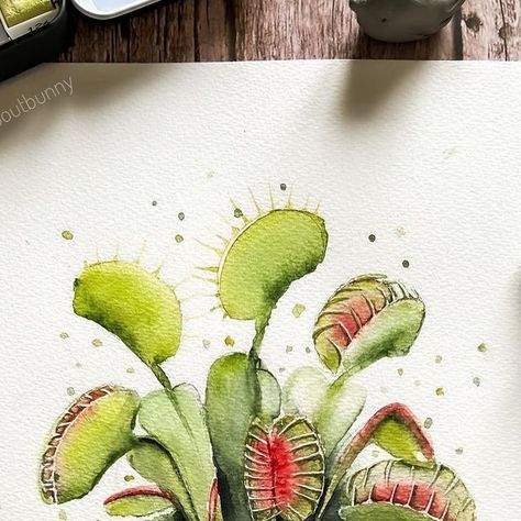 Venus Fly Trap Watercolor, Venus Flytrap Painting, Watercolor Venus Flytrap, Trap Art, Venus Flytrap, Plant Projects, Fly Trap, Venus Fly Trap, Fly Traps