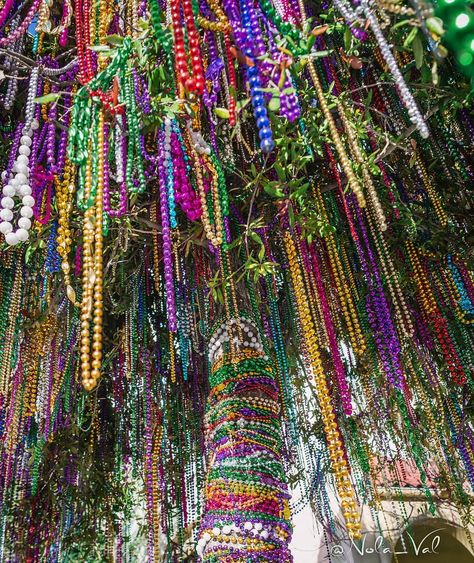 Mardi Gras Tree, Elaborate Costumes, Bead Trees, Party Animal Costume, Sweet 16 Themes, Mardi Gra, Visit New Orleans, New Orleans Mardi Gras, Ash Wednesday