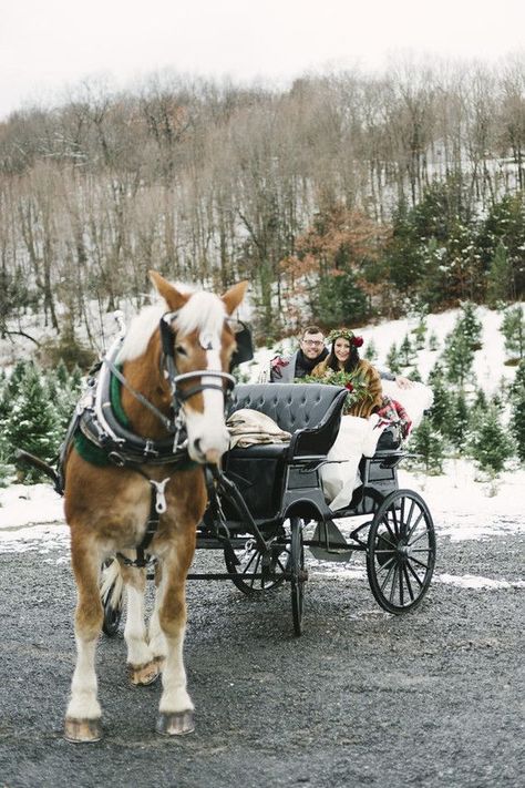 Snowy Christmas Tree Farm wedding ideas | 100 Layer Cake | Bloglovin’ Christmas Tree Farm Wedding, Weddings By Season, Tree Farm Wedding, Christmas Wedding Themes, Farm Wedding Ideas, Flowers Wedding Invitations, Wedding Themes Ideas, Woodland Tree, Emerald Velvet