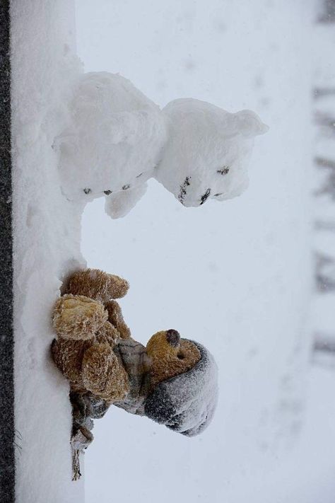 Two Teddy Bears, Cute Teddy Bear Pics, Teddy Photos, Teddy Bear Day, Cuddly Teddy Bear, Teddy Bear Pictures, Bear Pictures, Tatty Teddy, Teddy Bear Stuffed Animal