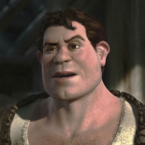 Shrek Human Form, Handsome Shrek, Human Shrek, Hot Takes, Cartoon Princess, Disney Boys, Shrek, Disney And Dreamworks, Dreamworks