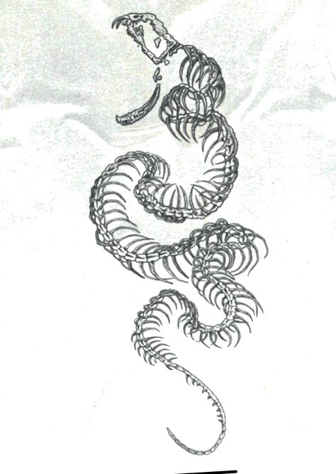 Cybersigilism Snake Tattoo, Snake Sketch, Friends In Paris, Back Tattoos For Guys, Black Ink Tattoos, Snake Tattoo, Painted Clothes, Back Tattoos, Book Art Drawings