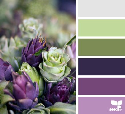 artichoke hues Color Palate, Design Seeds, Purple And Green, World Of Color, Colour Schemes, Color Swatches, Color Pallets, Sherwin Williams, Color Themes