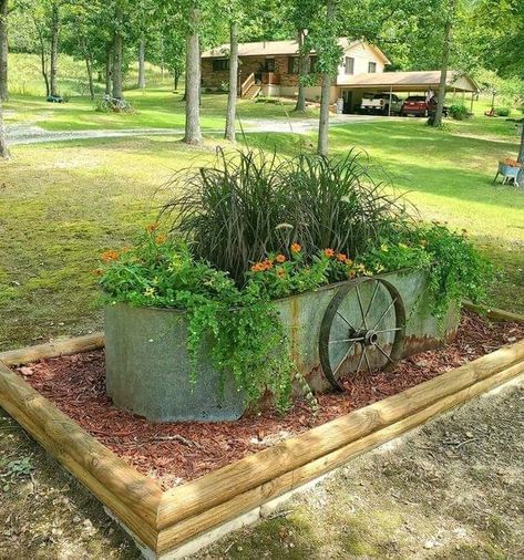 Landscaping Around A Well Head, Simple Country Landscaping, Simple Landscaping Backyard Ideas Budget, Front Yard Ideas On A Budget Diy, Outside Landscaping Ideas Farmhouse, Decor Around Trees Front Yards, Rustic Garden Bed Ideas, Rustic Landscaping Ideas For Front Yard, Backyard Country Landscaping