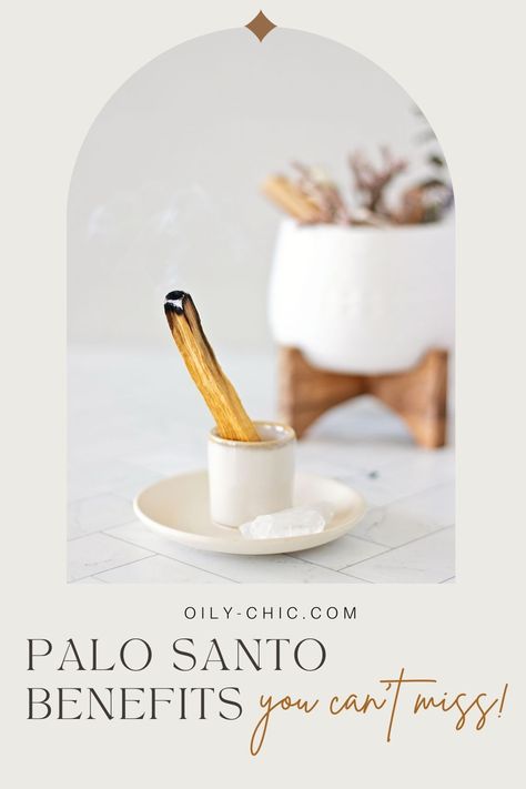 Embrace serenity with these DIY Palo Santo bundles you can make at home! Try it today! Palo Santo Benefits, Candle Benefits, Dyi Candle, Palo Santo Essential Oil, Eucalyptus And Lavender, Essential Oil Burner, Sage Smudging, Dried Eucalyptus, Sacred Tree