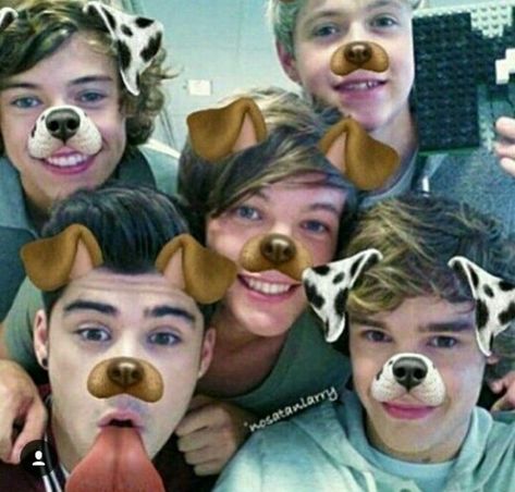 One Direction, Instagram Post, Dogs, For Sale, Instagram