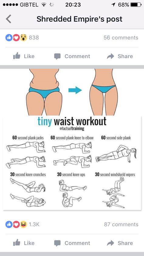 tiny waist workout Fat Loss Smoothies, Small Waist Workout, Summer Body Workouts, Fat Loss Foods, Outfit Yoga, Body Workout Plan, At Home Workout Plan, Workout Plans, Weight Workout Plan