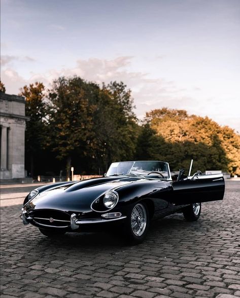 Elegant Sauvage’s Instagram profile post: “Embodied beauty . . . @arthurbouchez . . . #classiccar #jaguar #etype #jaguaretype #retrojaguar #classicjaguar #etypejaguar #driveclassics…” Old Jaguar Car, Old Jaguar, Jaguar Type, Jaguar Daimler, Jaguar Cars, Vintage Sports Cars, Jaguar Car, Jaguar E, Jaguar E Type