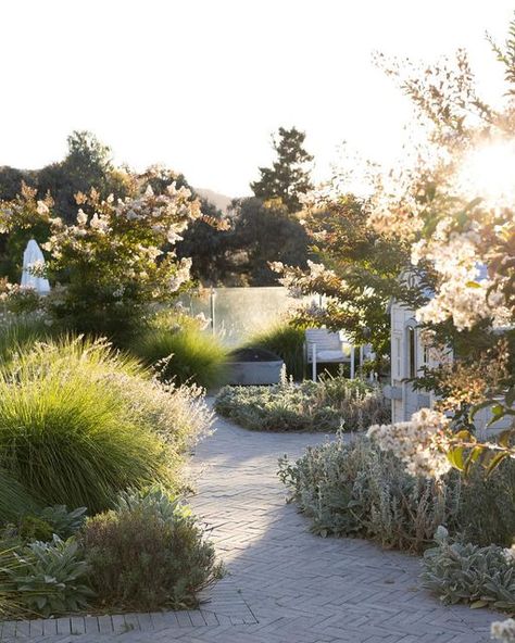 Manuka Gardens | Canberra on Instagram: "Canberra’s Crepe Myrtles have impressed us this season, gracing gardens with their vibrant blooms. At our Greenleigh project, they flourish magnificently, tended to with care by @you.me.and.the.sea_ 🌸 🤍🌿  Landscape Design & Construction @manukagardens  Photography @tess.godkin.photography  Plants @exotic_nurseries  Cobblestones @artisanexterior.au   #crepemyrtlebeauty #gardenpride #gardeninspiration #outdoorliving #crepemyrtle #landscapearchitecture #hardscaping  #canberrahomes #designcanberra #landscapedesign #landscapeconstruction #gardenmaintenance #canberrasmallbusiness #residentialgarden #canberralocal #thelandscapeassociation #manuka #canberradesign #wearecbr #canberralocals #seasonalcbr #canberralandscaper #gardeningaustralia #canberralife Crepe Myrtle Landscaping, Manuka Plant, Crepe Myrtles, Photography Plants, Crepe Myrtle, Landscape Construction, Garden Maintenance, Coastal Landscape, Modern Coastal