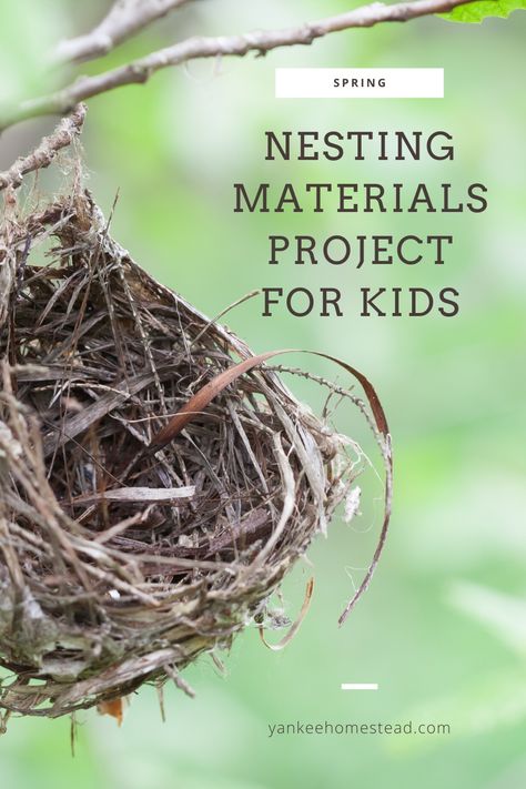 We learned how to make nesting materials for birds in one of our favorite kids books about birds. It’s a simple kids project for all ages! #buildanest #nestbuilding Books About Birds, Bird Nesting Material, Nontoxic Baby Products, Audio Books For Kids, Strong Knots, Essential Oils For Babies, Make A Bag, Homegrown Food, Non Toy Gifts