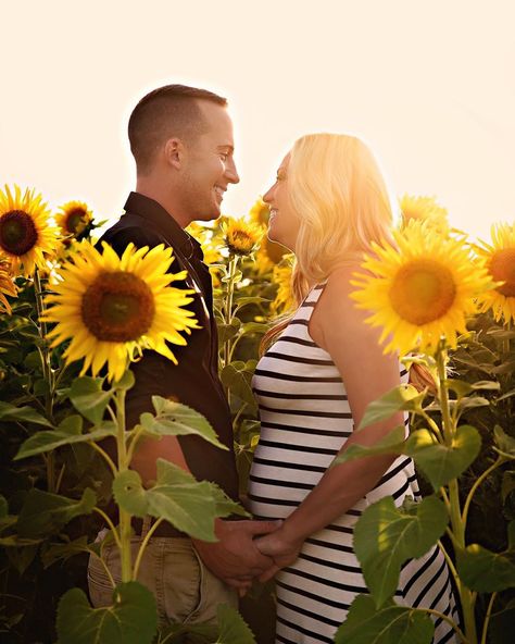 Sunflower Maternity Pictures Families, Sunflower Maternity Pictures, Sunflower Maternity Shoot, Pregnant Besties, Maternity Photo Shoot Ideas Sunflowers, Sunflower Field Maternity Photos, Sunflower Field Photoshoot Couple Maternity, Sunflower Field Pregnancy Announcement, Maternity Photos Sunflower Field