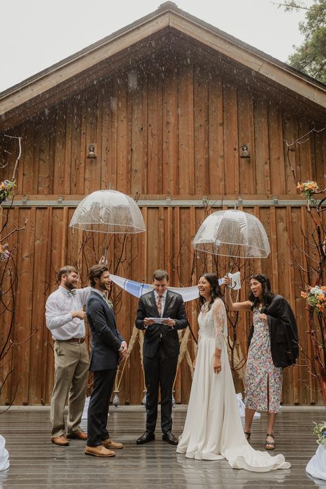 Rainy Forest Wedding, Rainy Day Wedding Pictures, Wedding In Rain, Raining Wedding, Rainy Backyard, Gualala California, Umbrella Wedding Photos, Wedding In The Rain, Rainy Wedding Photos