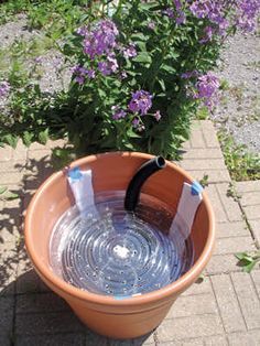 Self Watering Pots Diy, Plant Potting Ideas, Self Watering Planter Diy, Diy Self Watering Planter, Self Watering Containers, Self Watering Plants, Watering Pot, Self Watering Pots, Flower Pots Outdoor