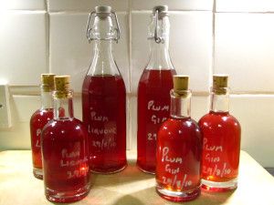 Plum Vodka, Plum Gin, Blackberry Gin, Flavored Alcohol, Pickle Vodka, Homemade Alcohol, Flavoured Gin, Homemade Liquor, Liquor Recipes