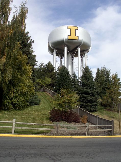 University of Idaho. Love my college days :) University Of Idaho Aesthetic, Pnw Adventures, Moscow Idaho, Dream University, College Vision Board, College Photography, University Of Idaho, Water Towers, Vision Board Photos